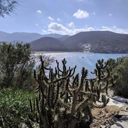 Aeolian Mode Beachfront 4 Beds 2 Bedrooms Perfect Spot Holiday home Tinos